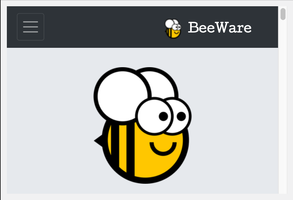 WebView on macOS